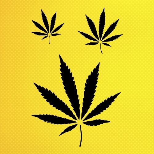 Kenevir Yaprağı Stencil Şablon