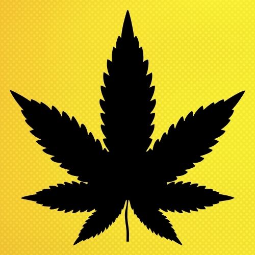 Kenevir Yaprağı Deseni Stencil Şablon