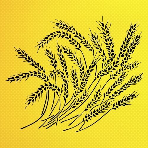 Buğday Başağı Stencil Şablon