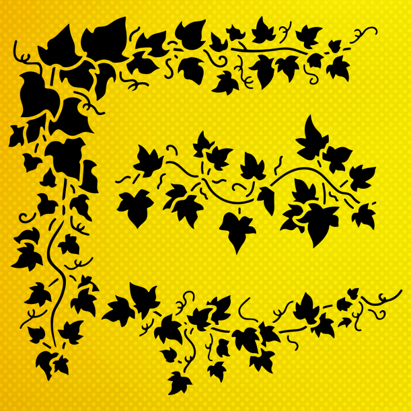 Sarmaşık Stencil Şablon Sarmaşık Stencil Şablon