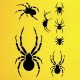 Örümcek Tasarımı Stencil Şablon